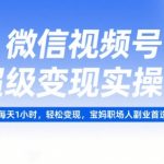 微信视频号变现秘籍：每天1小时轻松赚5000+，宝妈职场人副业暴利首选！