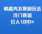 情趣内衣暴利项目揭秘：新手3步操作日赚1000+的冷门赚钱秘籍
