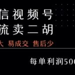 视频号爆赚秘籍：0基础二胡教学月入10万+，一单稳赚5000元的中老年私域变现神器