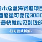2024最新小众蓝海暴利项目：新手当天轻松变现1K+ 长期稳定收益秘籍大公开