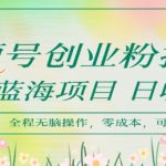 10个视频号创业粉暴利技巧：日赚1000+的蓝海项目揭秘，手把手教你无脑复制！