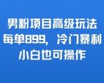 2025最新男粉暴利项目：单笔赚899的冷门玩法，新手3天上手实操攻略