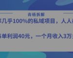 2025年最暴利私域项目：单笔净赚50米，新手7天速成月入1W+秘籍