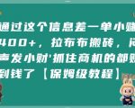 通过信息差月入过万的拉布布搬砖项目揭秘！保姆级教程手把手教你闷声发大财