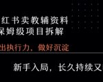 小红书卖小学教辅资料保姆级项目拆解：1次课程彻底讲清楚，新手也能月入过万！