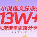 小说推文月入10万秘籍：13W+收益大佬亲授爆单技巧，新手也能轻松上手的常青树项目