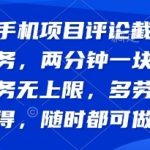 纯手机项目评论截图任务，日赚100+无上限！两分钟一块钱，随时随地轻松赚钱【实测有效】
