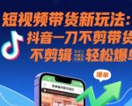 短视频带货新玩法：抖音0剪辑纯搬运秘籍，新手7天轻松爆单10000+！