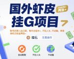 国外虾皮全自动挂G项目：躺着赚美金，单机日入200+，0门槛0风险，官方打款秒到账【2025最新玩法】