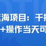 小众蓝海暴利项目！日入2.5K+当天变现保姆级教程（附实操案例）