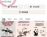 5天零基础狂赚10000+！揭秘PUFF手绘视频号暴利玩法，新手3天快速过原创