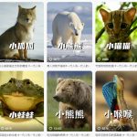爆笑动物百科全攻略：揭秘蓝海暴利赛道，日引10W+流量，独家签约秘籍大公开！
