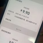爆赚揭秘！二次元男粉私域变现神操作，虚拟产品日入过万攻略