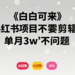 2025最新小红书零门槛副业！无需剪辑，手机月入3万+🔥小白暴富指南