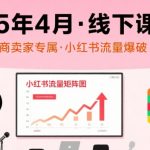 小红书2025年4月线下绝密课！电商老板疯抢的流量密码，内部录音+课件曝光🔥