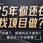 2025年创业必看！10大暴利项目骗局曝光！月入10万+的真相竟藏在这份避坑指南里【揭秘】