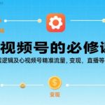 视频号精准流量与变现实战秘籍：2025最新底层逻辑解析（直播+SEO核心）