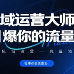 私域运营终极秘籍：SEO优化引爆流量池大师课，流量暴涨100%指南