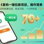 雷霆一键拉新爆火中！接码躺赚70+/时，首码限量通道开放（当天提现）