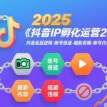 2025必学抖音IP孵化实战课：爆款底层逻辑·账号搭建·摄影剪辑·内容运营·违规规避秘籍