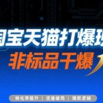 淘宝天猫非标品流量暴涨秘籍！第72期终极版SEO优化技术