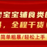 小红书宝宝辅食虚拟资料：引流私域变现，日入1000+零基础爆款教程！