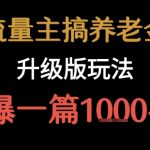 养老金流量主爆款升级：单篇文章狂赚7000+的秘密攻略！