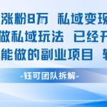 AI私域变现新玩法：单条视频爆赚5K+，0基础副业月入过万即刻上手！
