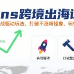 INS跨境出海实战营：破解0粉丝魔咒！3天狂吸自然流量，百万爆单秘籍大公开