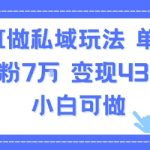 AI私域流量爆款秘籍：单条视频狂吸7万粉，轻松变现4300元，新手零基础速成！