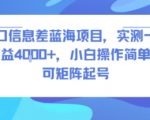 风口信息差蓝海项目爆赚秘籍：实测日入4000+，小白零门槛操作，矩阵起号躺赚暴富！
