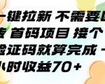 首码项目一键拉新：验证码完成即赚70+！零门槛无需回传，揭秘暴利攻略！