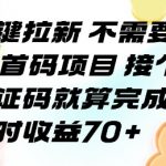 首码项目一键拉新：验证码完成即赚70+！零门槛无需回传，揭秘暴利攻略！