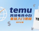 TEMU跨境电商新手零基础速成秘籍：立即上手爆单终极指南