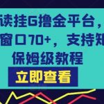 日入300+！零门槛阅读赚钱平台，无风控单窗80+收益，支持多开矩阵，免费保姆级教程【终极揭秘】