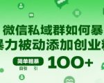 微信私域矩阵无限被动引流术：日加500+创业粉实操揭秘