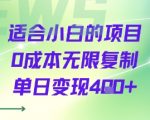 小白0成本暴利项目：无限复制日赚400+，新手轻松躺赚！