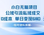 零成本公域引流私域变现秘籍：小白无脑日赚680元爆款项目！