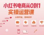 小红书电商10步实操课：新手必学，7天就能赚！