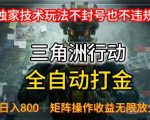 三角洲全自动挂机黑科技！日入800+稳如泰山，矩阵操作可无限复制【内部泄露版】