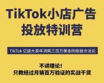 TikTok广告投放流量暴涨500%！6天破局专治投不动，月销百万秘籍限时揭秘
