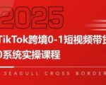 TikTok跨境带货暴利实战：7天起号躺赚攻略！新手必看全链路拆解[[1][3][4][5][6]