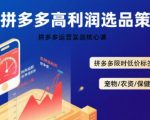 拼多多日销1000+暴利选品技术实战：限时低价标签引爆流量，日赚3000+秘诀全解析！