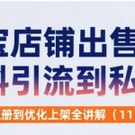 淘宝虚拟店铺日赚500+！零成本上架虚拟资料·私域引流变现全流程，11节实战课速成攻略