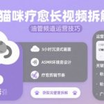 猫咪流量密码！拆解百万播放治愈系爆款视频，油管频道粉丝暴涨技巧[[1][2][9]