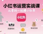 小红书SEO优化终极秘籍：新手轻松起号，流量暴涨月入过万！