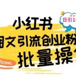 小红书高效图文引流秘籍：每日轻松吸引100+创业粉丝