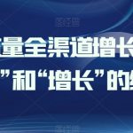 全渠道流量引爆与增长策略：掌握获客与增长的双重艺术