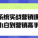 全系统营销实战课程：小白变营销大师的神奇之旅【独家揭秘】
