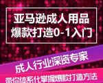 亚马逊成人用品爆款速成指南：从入门到精通，系统化掌握爆款打造流程【专家教程】
